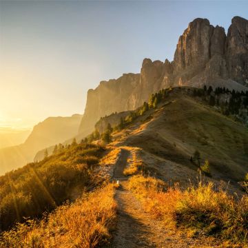 HSK Renodeco Wandverkleidung - Muster Struktur, Fotodruck für die individuelle G