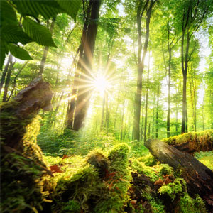 Farbe: Motiv - Farbig