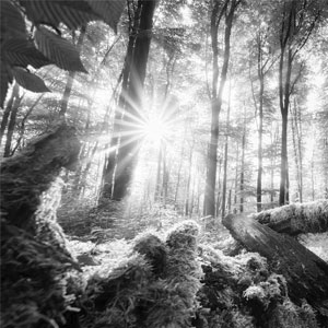 Farbe: Motiv - Schwarz-Weiss